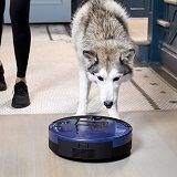 Best 5 Robot Vacuum Cleaners For Pet Hair In 2022 Reviews