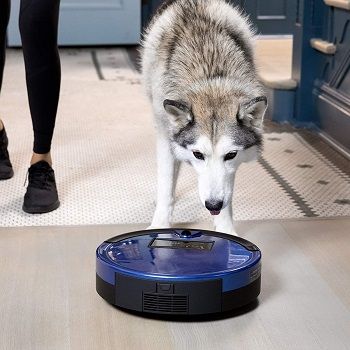 robot-vacuum-cleaners-for-pet-hair